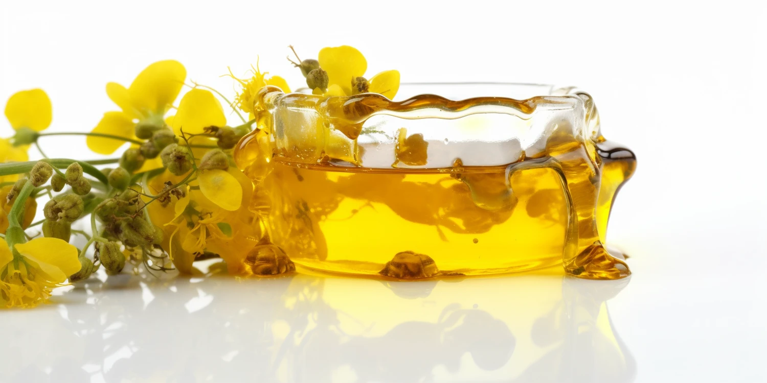 Kiedy izolować matki pszczele?